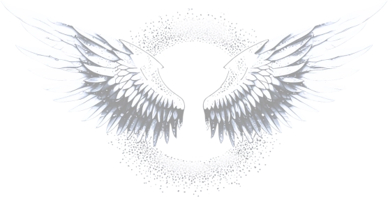 VL Construct & Renovate